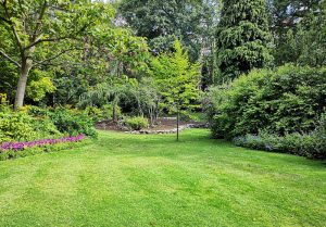 Optimiser l'expérience du jardin à Peyzac-le-Moustier