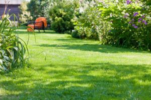 travaux jardin et paysage Peyzac-le-Moustier